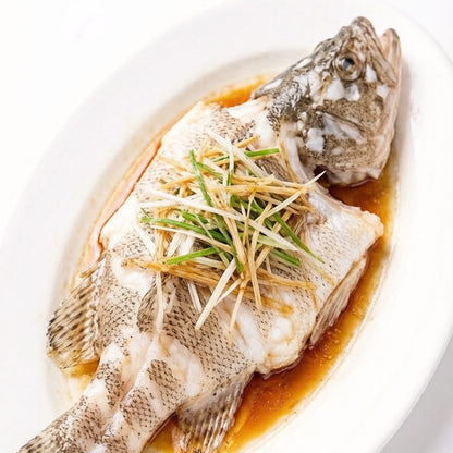 Live Grouper